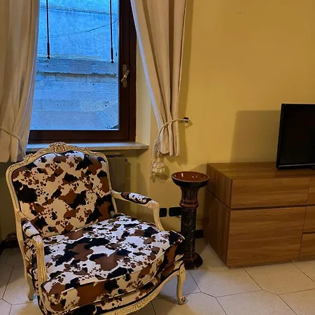 Johnny 4 Daire Bergamo